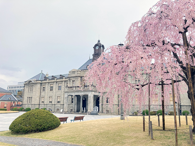 山形県郷土館 文翔館