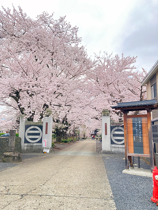 光善寺　山形市