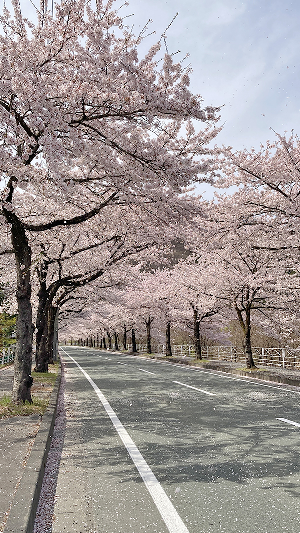 馬見ヶ崎川（山形市）