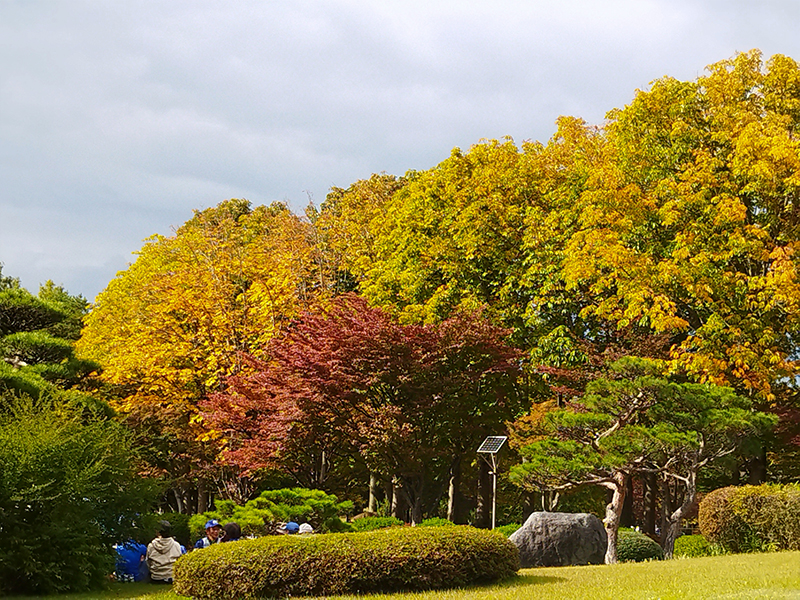 山形県総合運動公園