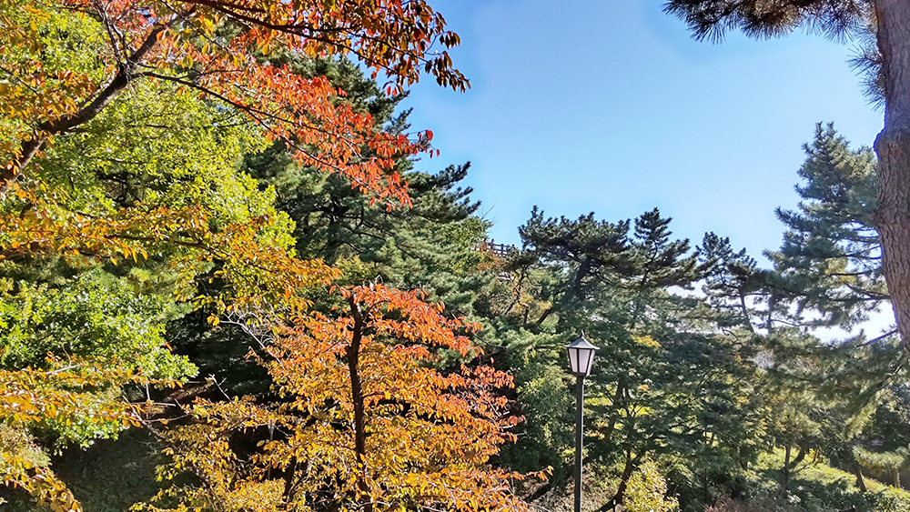 酒田市　日和山公園