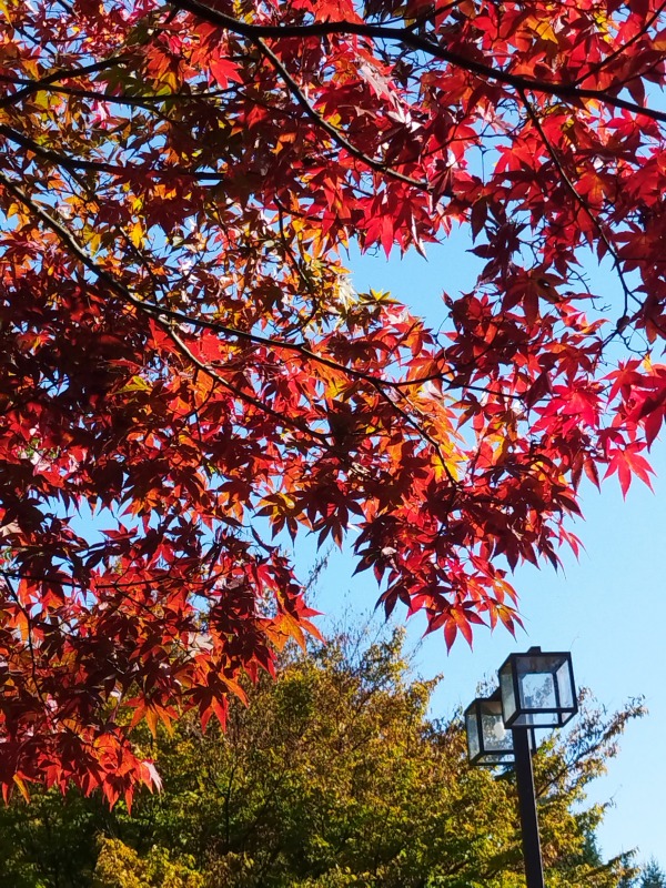 山形県総合運動公園