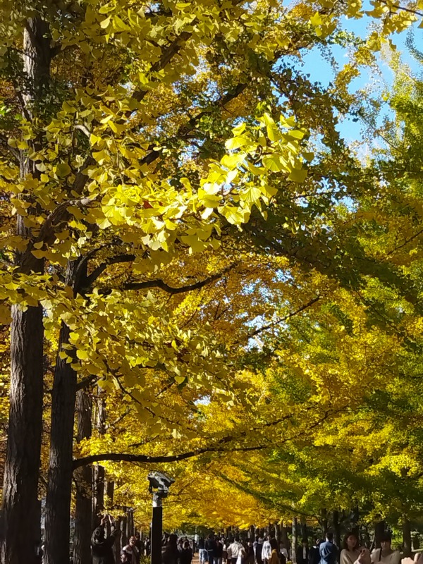 山形県総合運動公園