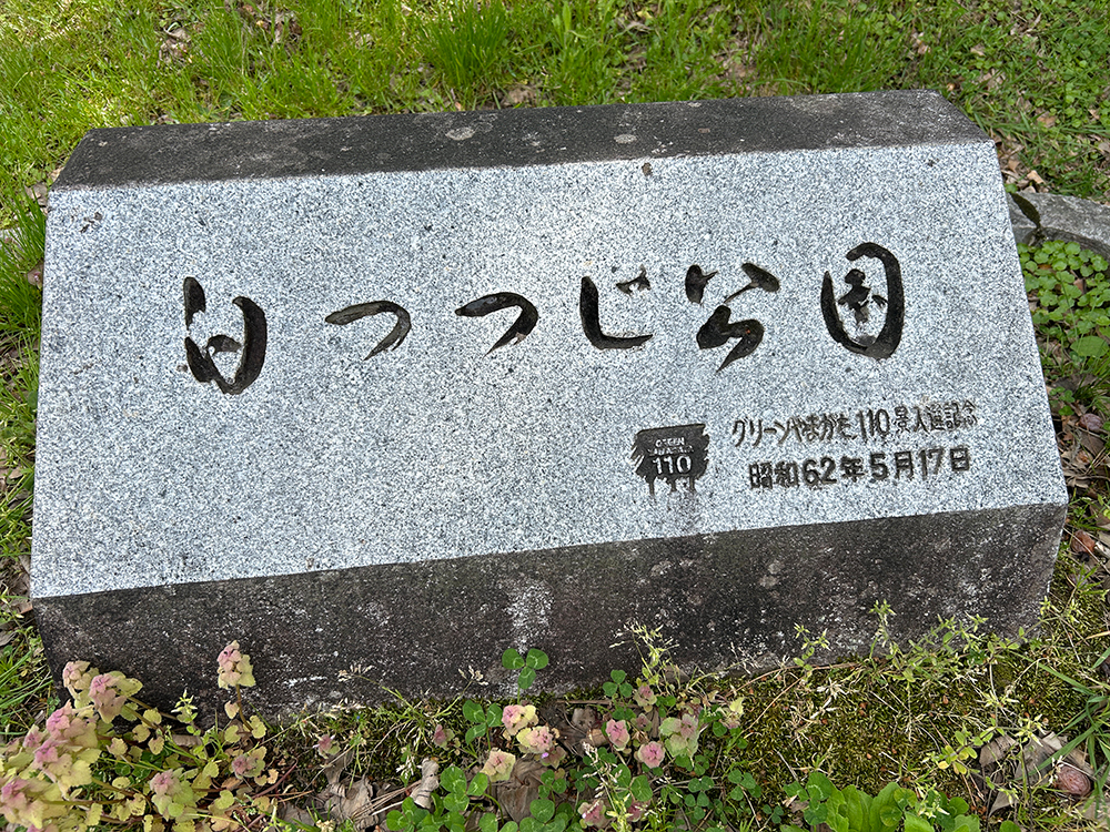 白つつじ公園　長井市